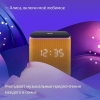 Вид 15